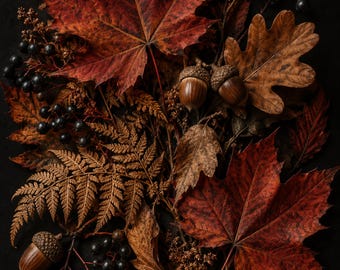 Dark Autumn Botanical digital wall art